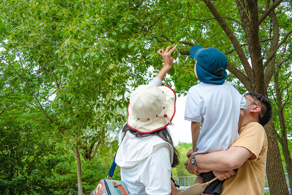 Father’s Day celebration,Hiba Academy Nantong Nursery